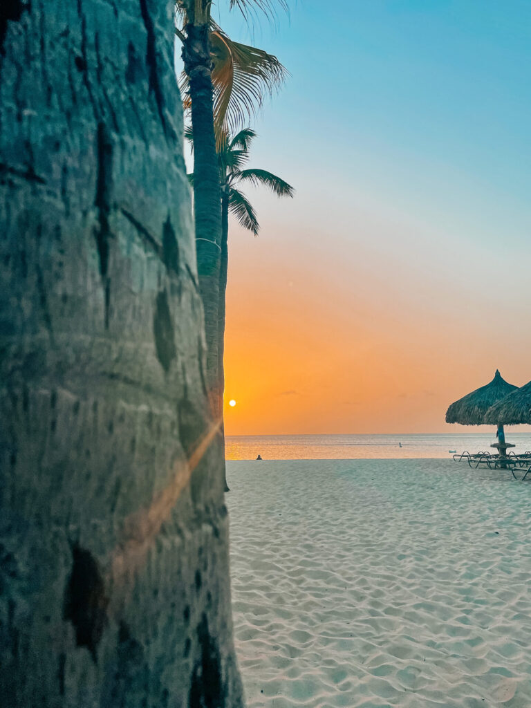 things to do in Aruba