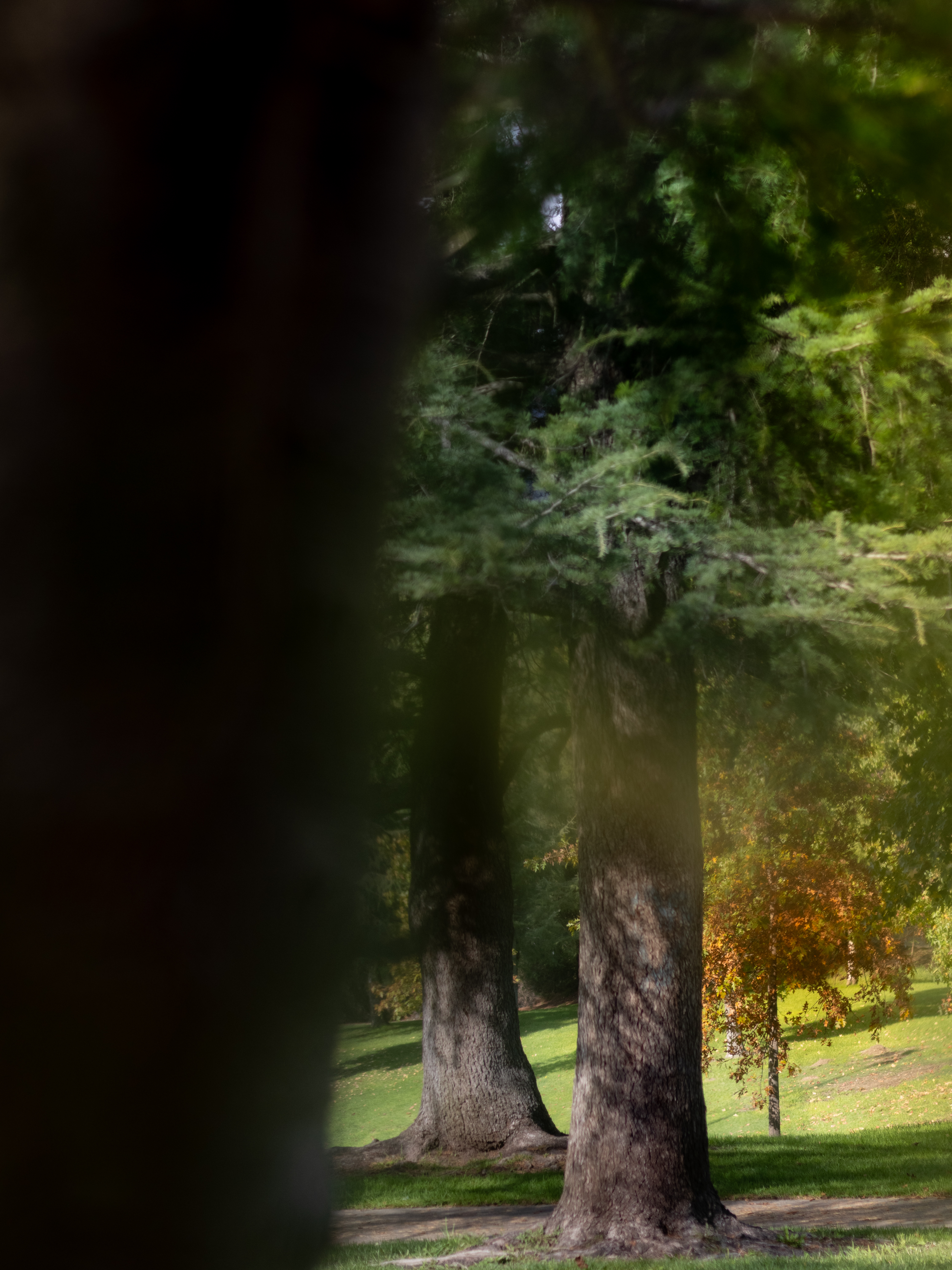 How to See Beauty in Small Things